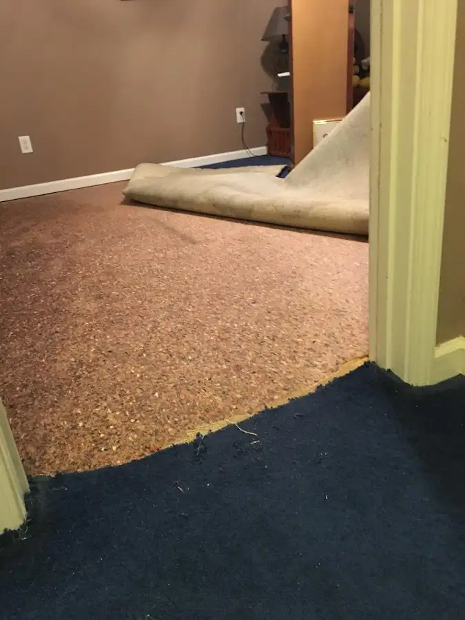 Carpet pad removal revealing water damage during Water Mitigation Services in Gulfport