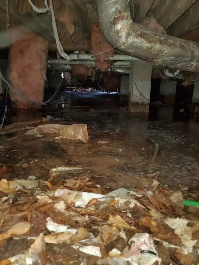Crawl space flood assessment for Commercial Water Damage Restoration in Gulfport