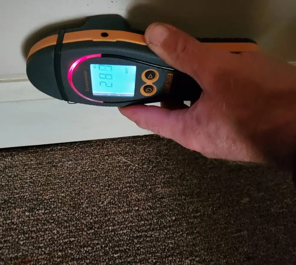 Moisture detection at baseboard during Storm Damage Restoration in Gulfport